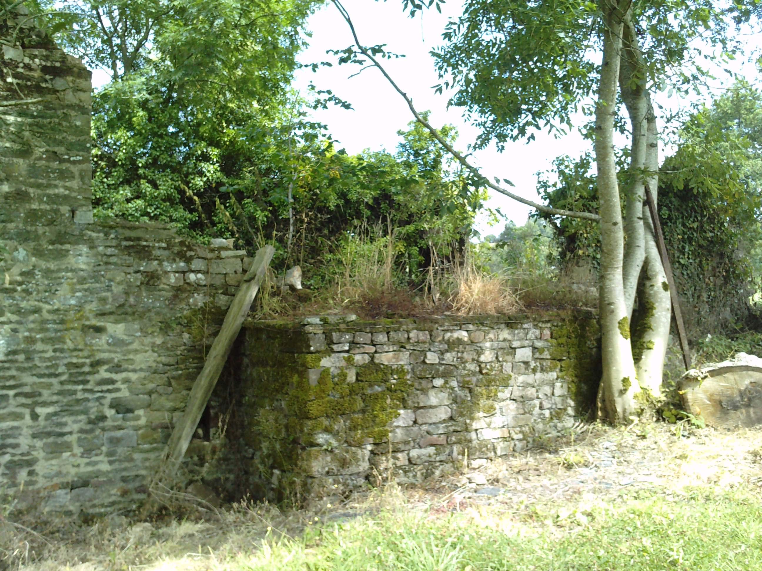 Photo du mur sud, lors de l'achat en 2009